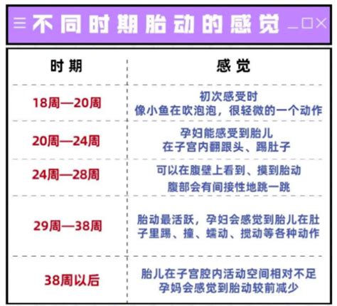 医学科普 | 数胎动，我可以不数吗？异常胎动，可能是宝宝在“求救”，孕妈一定要懂-医疗速递-青岛市妇女儿童医院--青岛大学附属妇儿医院