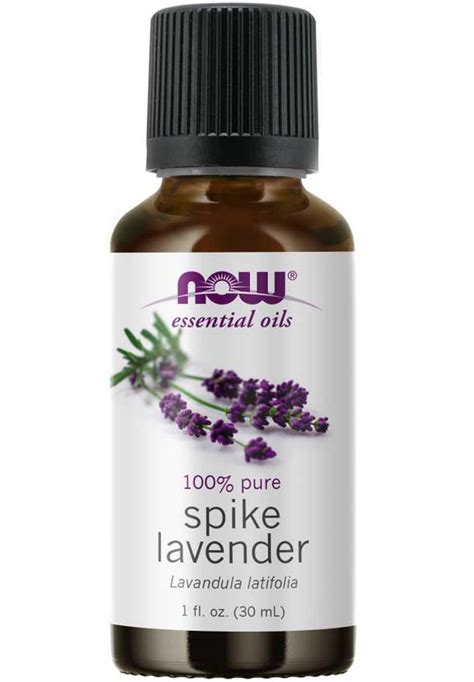 NOW Essential Oils Spike Lavender Oil …