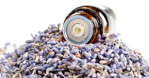 舒眠精油配方推薦，正確使用舒眠精油帶你進入深 … yunitw.com