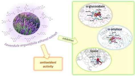 Journal of Enzyme Inhibition and Medicinal Chemistry: Vol 38, No 1