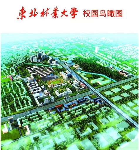 高校基建 | 东北林业大学校园建筑美景袭来，超享受~