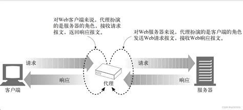 Web代理（HTTP代理）_webproxy-CSDN博客