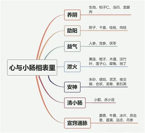 中医基础知识(一),诊断病因,辩证思维导 …