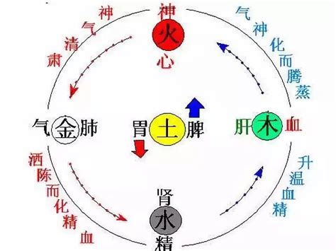 【名医有约】来自长白山上的脏腑推拿_治疗