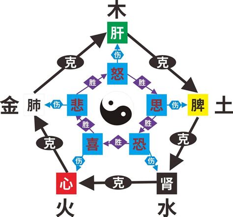 成都中医肿瘤医院,成都中 … bilibili.com