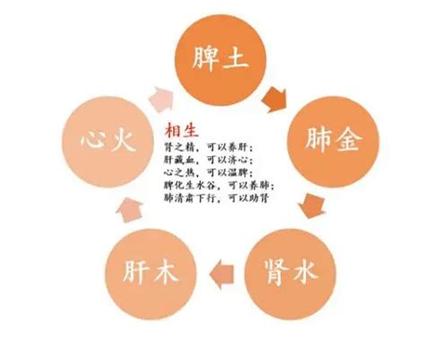 五行对应五脏五色五位 五行对应五脏表格图-善吉网