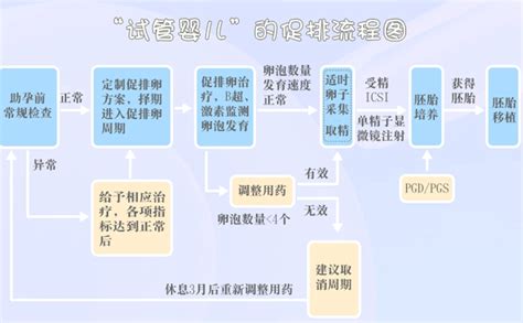 做试管婴儿的流程，需要准备哪些资料 - 好孕无忧