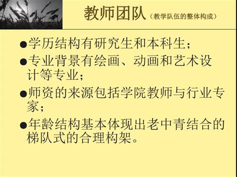 PPT - 教师团队 （教学队伍的整体构成） PowerPoint Pr…