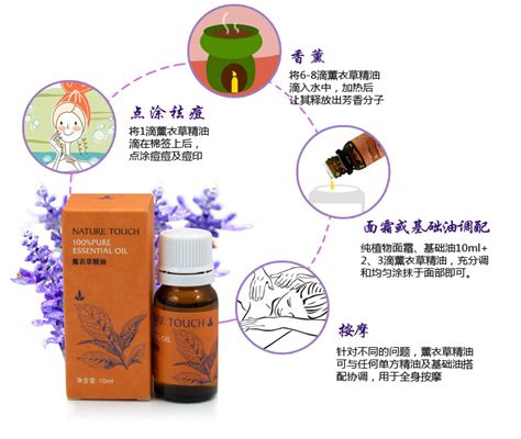优佳丽_优佳丽阎伟_葡萄佳丽酿(2)_中国 …