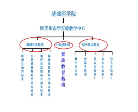 河北北方学院基础医学院形态学实验教学中心