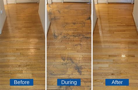 Hardwood Floor Wax Buildup Removal – Flooring Guide by Cinvex