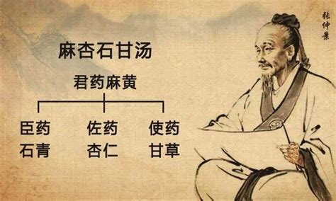 麻杏石甘汤组成是怎么样的-百度经验