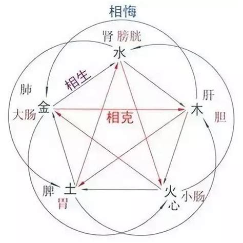 五脏常见虚劳症(阴 … sohu.com