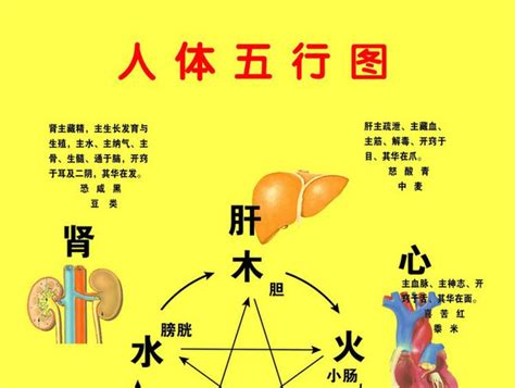 算命跟中医的理论基础是一样的,你晓得吗?-搜狐