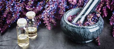 Clary sage oil: Benefits, uses and side effects - High Rated Gabru