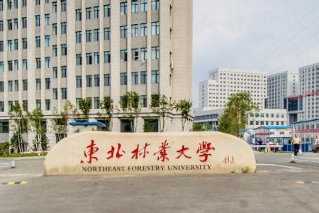 东北林业大学认可度高吗？口碑怎样？最专业？就业前景如何？