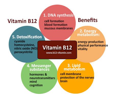 Vitamin B12 - An Overview