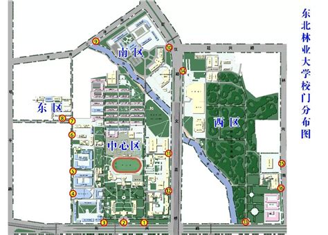 西南林业大学地图,西南林业大学林学院,西南林业大学图片(第3页)_大山谷图库