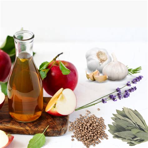 Four Thieves Vinegar - Gaia … gaiagarden.com